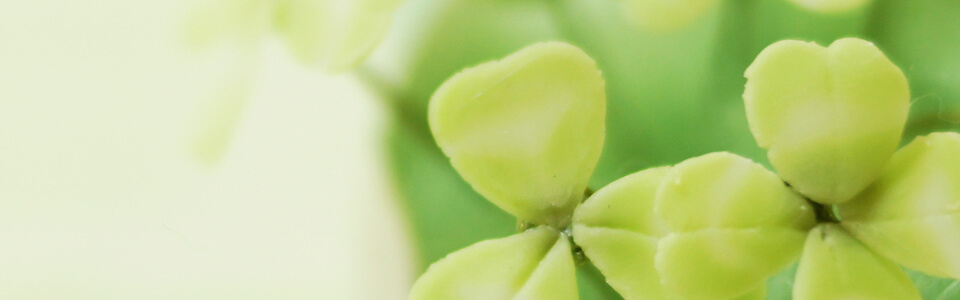 取扱い業務について